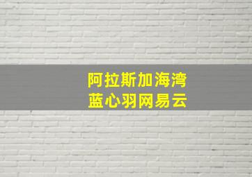 阿拉斯加海湾 蓝心羽网易云